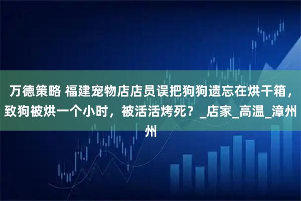 万德策略 福建宠物店店员误把狗狗遗忘在烘干箱，致狗被烘一个小时，被活活烤死？_店家_高温_漳州