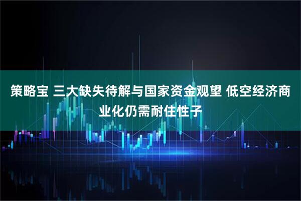 策略宝 三大缺失待解与国家资金观望 低空经济商业化仍需耐住性子