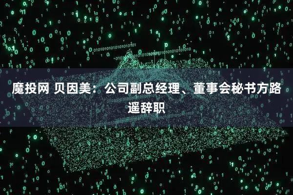魔投网 贝因美：公司副总经理、董事会秘书方路遥辞职