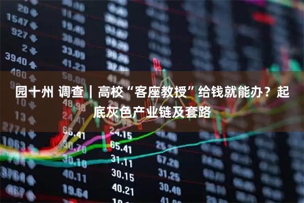 园十州 调查｜高校“客座教授”给钱就能办？起底灰色产业链及套路